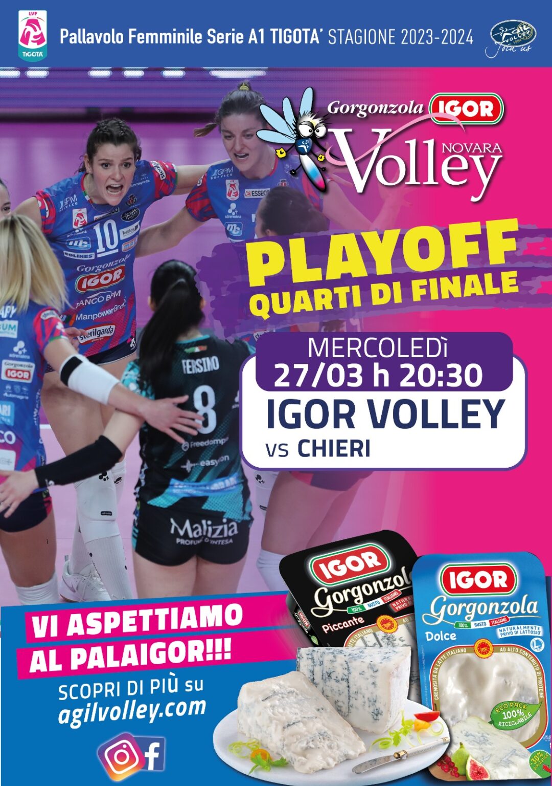 Domani Al Via I Playoff C Gara Contro Chieri Igor Novara Volley